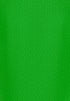 Planet Hockey Umpire Shirt Aurora Green